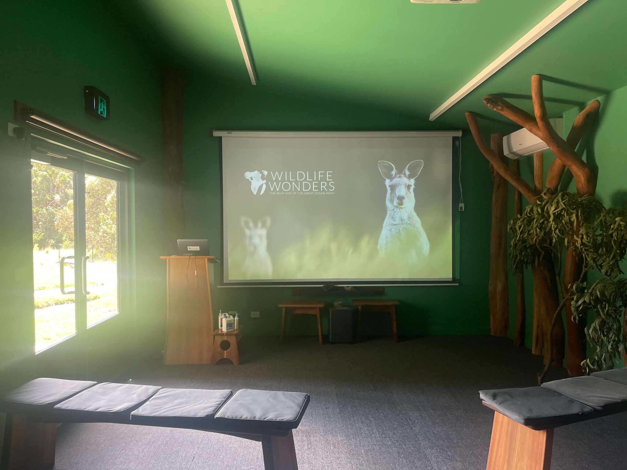 Wildlife-Wonders-Forest-Room-before-the-tour-starts-2048x1536